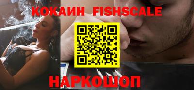 крисы Новодвинск