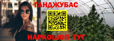 крисы Новодвинск