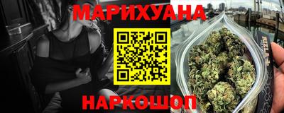 крисы Новодвинск