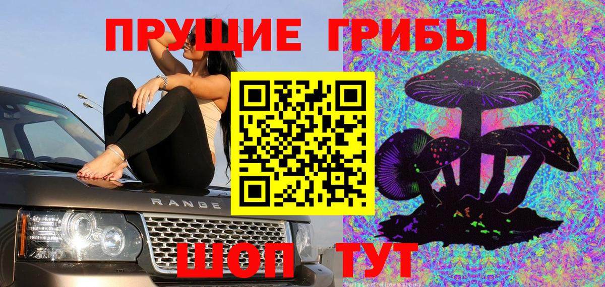 Улан-Удэ  Галлюциногенные грибы GOLDEN TEACHER  Вход с VPN  Галлюциногенные грибы Psilocybine cubensis 