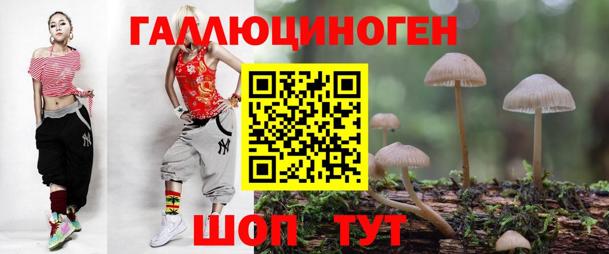 Псилоцибиновые грибы мухоморы Улан-Удэ